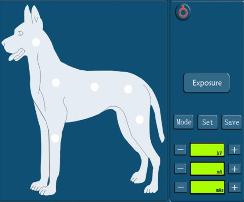 dr，digital portable x ray system for veterinary 4